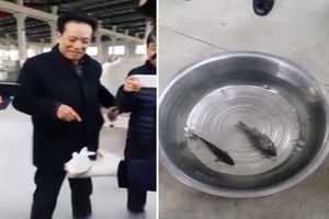 (VIDEO) Izvadili su ribu iz frižidera, a nisu ni sumnjali da će se ovo dogoditi