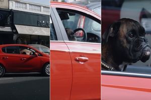 IZVEO MANEVAR NASRED ULICE, ŠOKORAO PROLAZNIKE: Umete li da parkirate automobil dobro kao ovaj pas