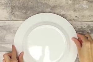 (VIDEO) Uzela je tanjir i plastičnu cev i napravila savršenu organizaciju na stolu