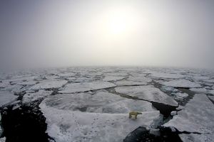 CRNE SLUTNJE NAUČNIKA: Arktik bi tokom sledećih godina mogao da ima DANE BEZ LEDA?! Otkriveni rezultati ISTRAŽIVANJA