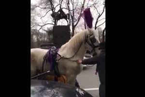 (VIDEO) PANIKA U NJUJORKU: Preplašeni konj dao se u beg vukući kočiju, 3 povređeno