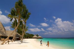 POSAO IZ SNOVA U RAJU NA ZEMLJI: Traži se bibliotekar na Maldivima! Uživa kao turista, a dobija PLATU