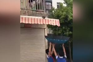 O NE, MAČE SE POPELO NA KROV I NE MOŽE DA SIĐE! Dečaci su odlučili da ga spasu uz pomoć kišobrana, a evo da li su i uspeli u tome! (VIDEO)