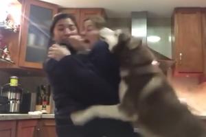 NAJLJUBOMORNIJI PAS NA SVETU! Mama i ćerka se grle, a on im bukvalno skače na glavu, i pokušava da ih razdvoji! (VIDEO)