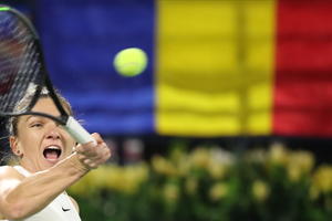 ODREKLA SE BUJNOG POPRSJA I USPELA U ŽIVOTU Rumunska teniserka SMANJILA GRUDI: Nisu mi se sviđale! (FOTO)