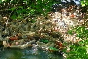 KATASTROFA: Reka Kubrušnica zatrpana smećem, flašama i otpadom
