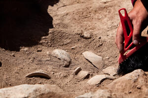 SREDNJEVEKOVNI HIPSTER: U grobu bogatog ratnika sahranjenog pre 1.500 godina pronađen skupoceni češalj za stilizovanje brade