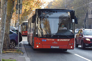 KAD VOZI MIŠKO IZ ŠRI LANKE KROZ BEOGRAD: Sanja iz Beograda doživela neobičnu vožnju gradskim autobusom na liniji 33!