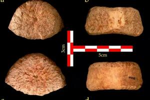 NEVEROVATNO OTKRIĆE: Pršljen deteta star 1,5 MILIONA godina nađen u Izraelu je najstariji dokaz o postojanju čoveka na tom tlu!