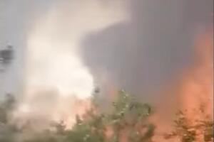 PALILI RASTINJE U ŠIBENIKU: Muškarac i žena upaljačem spaljivali travu, kamera sve zabeležila a meštani pozvali policiju