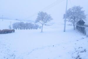 ZABELELA SE SRBIJA: Ovde je sneg padao čitavu noć! (FOTO)