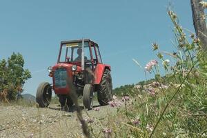 OTIŠAO DA POMOGNE PRIJATELJU, PA POGINUO! Tragedija kod Kragujevca, mladić (28) stradao od traktora