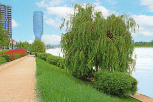 BEOGRAD ZA SVE LJUBITELJE PRIRODE USRED GRADA: Upoznajte najlepšu zelenu oazu u centru prestonice
