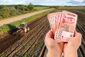 PAORIMA BESPOVRATNO PO 200.000 €! Novi model ulaganja u srpsku poljoprivredu, a do novca se dolazi na poseban način