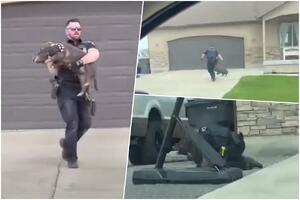 URNEBESAN SNIMAK POSTAO HIT! Policajac se uhvatio u koštac sa prgavom životinjom, da bi je obuzdao morao da se BACI NA NJU (VIDEO)