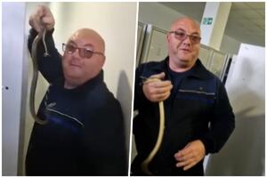 "DAJ DA JE VIDIMO, LELEEE" Vladica u Vranju iz ormara izvukao zmiju dugu čitav metar! Objasnio zašto se baš tu sakrila (VIDEO)
