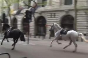 DRAMA U LONDONU: Odbegli konji zbacili jahače pa izazvali haos, trče ulicama umrljani KRVLJU (VIDEO)