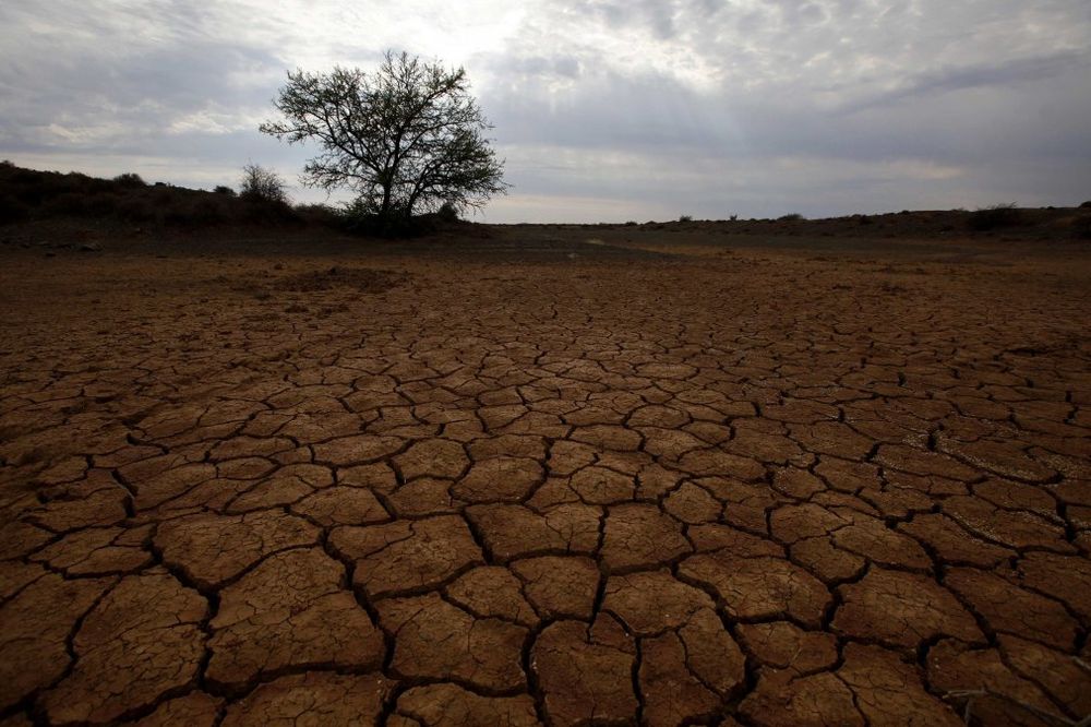 Temperatura na Zemlji biće sve veća, Foto Reuters